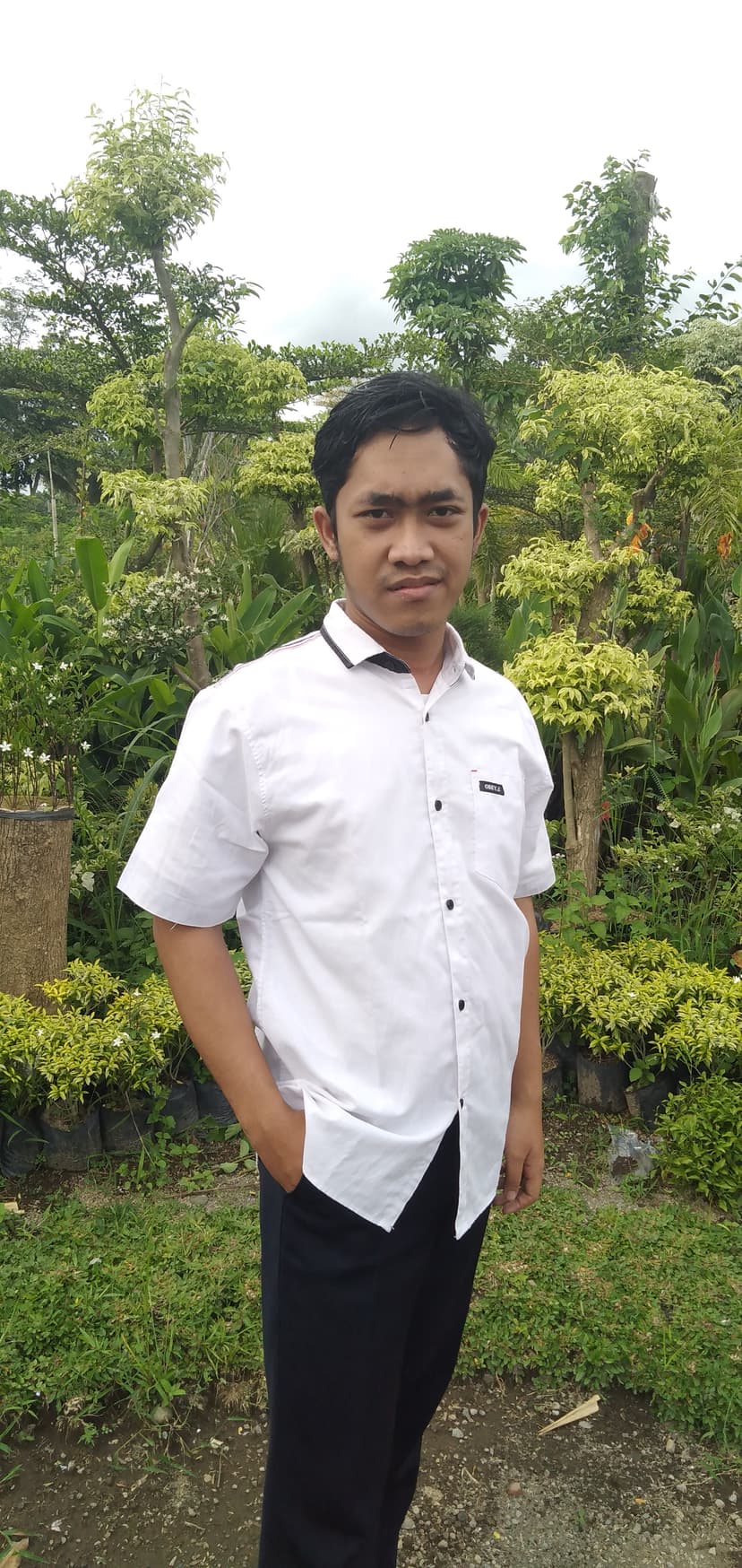 University